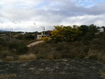 TANTI- CHACRAS DE LA PRIMAVERA