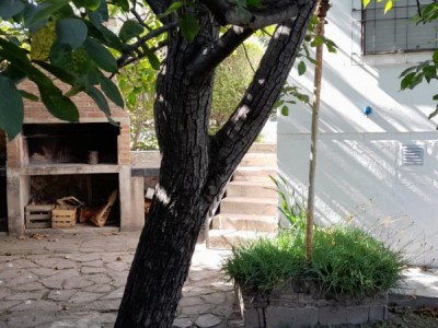 CALLE BELGRANO- CENTRO