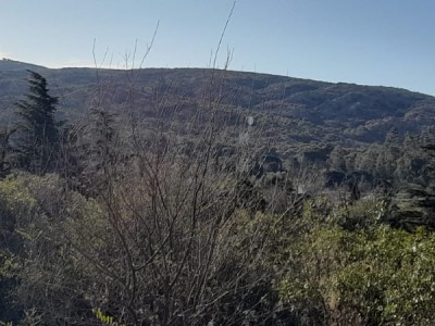 TERRENO CALLE SALTA- CENTRO