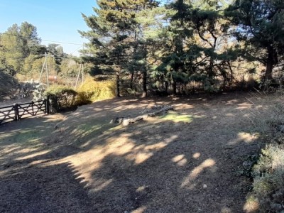 TANTI LOMAS- TANTI- ANTIGUA CASA DE TE 