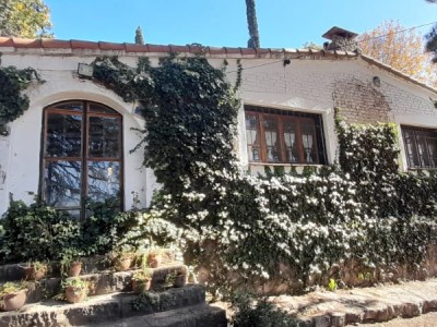 TANTI LOMAS- TANTI- ANTIGUA CASA DE TE 