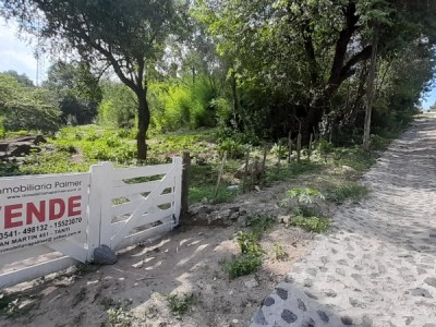 TERRENO A 50 MTS. DE LA RUTA (SUPERMERCADO GALLI) CALLE EL JAZMIN