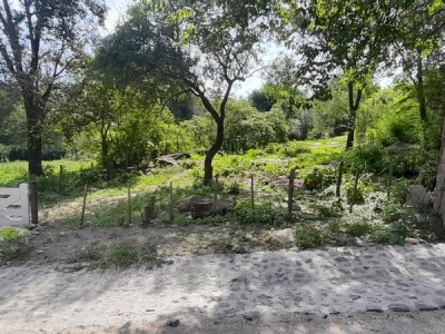 TERRENO A 50 MTS. DE LA RUTA (SUPERMERCADO GALLI) CALLE EL JAZMIN