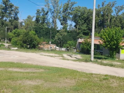 TERRENO SOBRE CALLE EL PINO- VILLA MUÑOZ