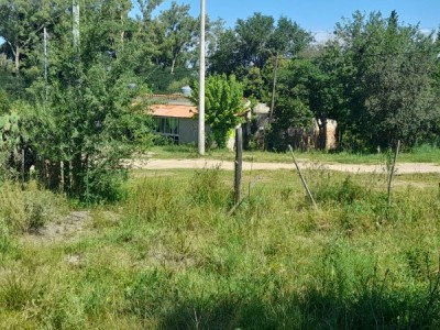 TERRENO SOBRE CALLE EL PINO- VILLA MUÑOZ