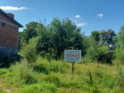 TERRENO SOBRE CALLE EL PINO- VILLA MUÑOZ