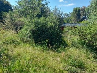 TERRENO SOBRE CALLE EL PINO- VILLA MUÑOZ